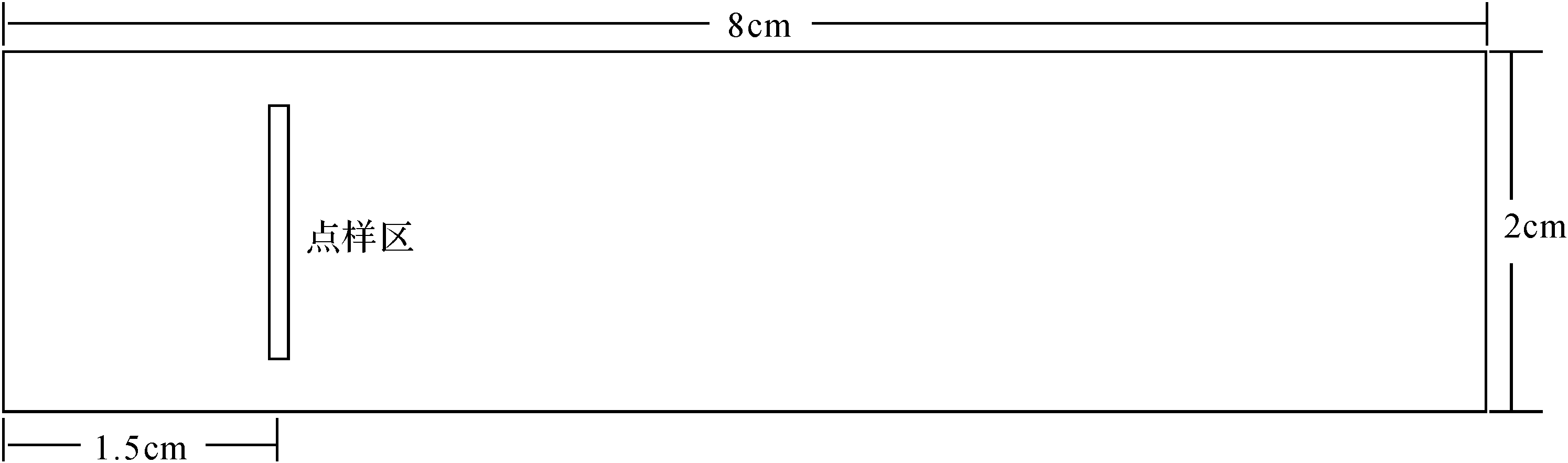 實(shí)驗(yàn)三 血清蛋白質(zhì)的電泳分離